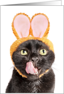 Happy Easter For Anyone Cat in Bunny Ears Licking Face Humor card