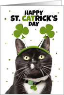 Happy St Patricks Day For Anyone Cat in Shamrock Headband Humor card