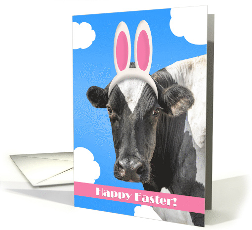 Happy Easter For Anyone Funny Cow in Bunny Ears Humor card (1728514)