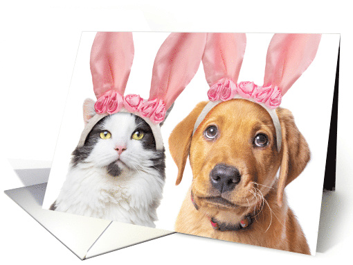 Happy Easter Cute Cat and Puppy in Bunny Ears Humor card (1728570)