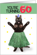 Happy 60th Birthday Funny Cat in Hula Outfit Humor card