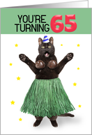 Happy 65th Birthday Funny Cat in Hula Outfit Humor card