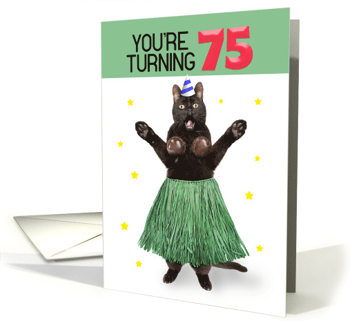 Happy 75th Birthday Funny Cat in Hula Outfit Humor card (1729012)