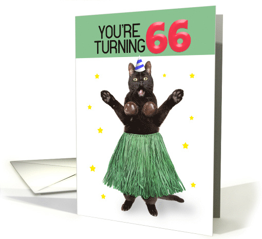 Happy 66th Birthday Funny Cat in Hula Outfit Humor card (1729176)