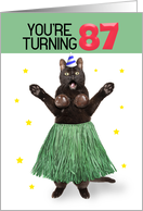 Happy 87th Birthday Funny Cat in Hula Outfit Humor card