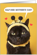 Happy Mother’s Day Cute Cat in Bumble Bee Hat Humor card