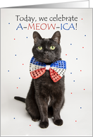 Happy Fourth of July For Anyone Cute Patriotic Cat Humor card