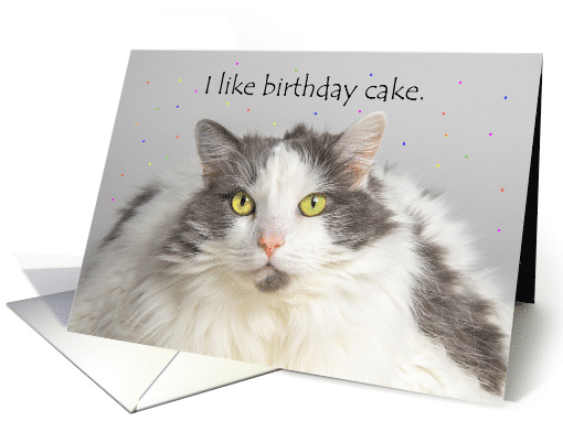 Happy Birthday For Anyone Fat Cat Likes Birthday Cake Humor card