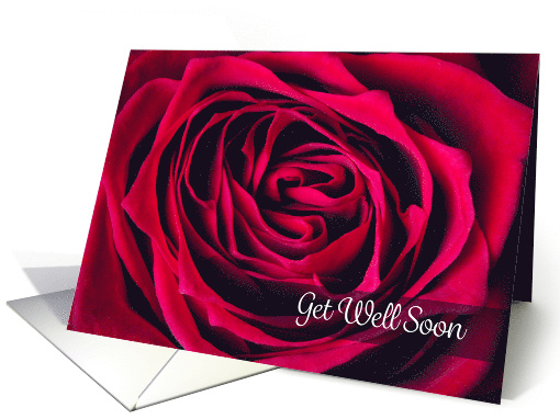 Get Well Soon For Anyone Beautiful Rose Close Up Photograph card