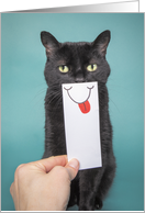 Sending a Smile Funny Cat with Mouth Drawing Encouragement Humor card