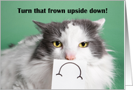 Cheer Up Encouragement For Anyone Funny Cat With Frown Face Humor card