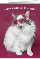 Happy Birthday Beautiful Cute Cat in Sunglasses Humor card