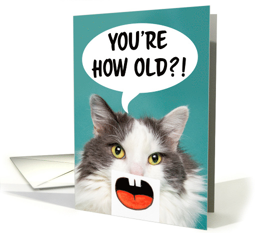Happy Birthday For Anyone Funny Cat With Silly Mouth... (1736560)