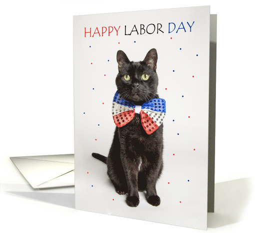 Happy Labor Day Patriotic Cat in Bow Tie Humor card (1737018)