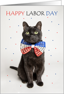 Happy Labor Day Patriotic Cat in Bow Tie Humor card