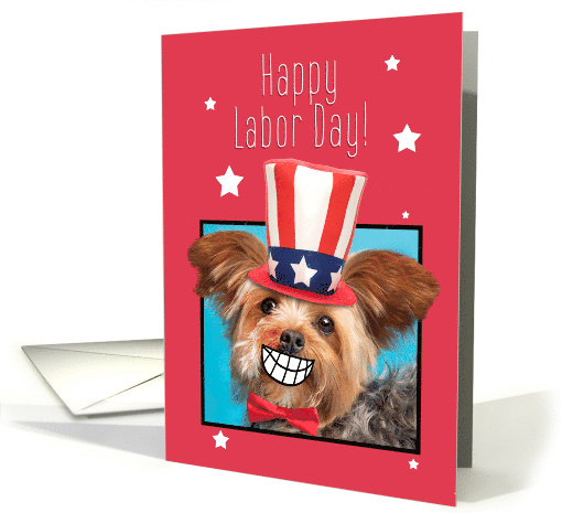 Happy Labor Day For Anyone Funny Patriotic Yorkie Dog card (1741070)