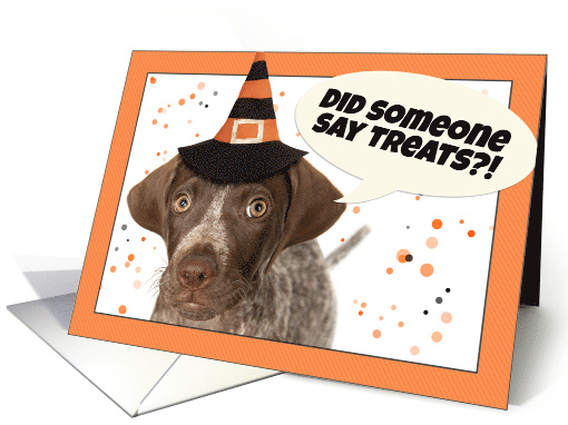 Happy Halloween For Anyone Cute German Shorthaired... (1743684)