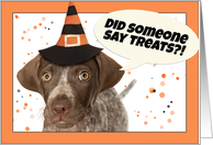 Happy Halloween For Anyone Cute German Shorthaired Pointer Puppy Humor card