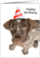 Happy Birthday German Shorthaired Pointer Puppy Humor card