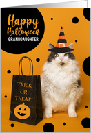Happy Halloween Granddaughter Cute Cat in Witch Hat Humor card