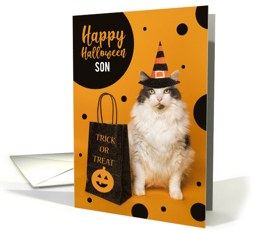 Happy Halloween Son Cute Cat in Witch Hat Humor card (1744714)