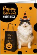 Happy Halloween Great Niece Cute Cat in Witch Hat Humor card