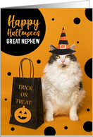 Happy Halloween Great Nephew Cute Cat in Witch Hat Humor card