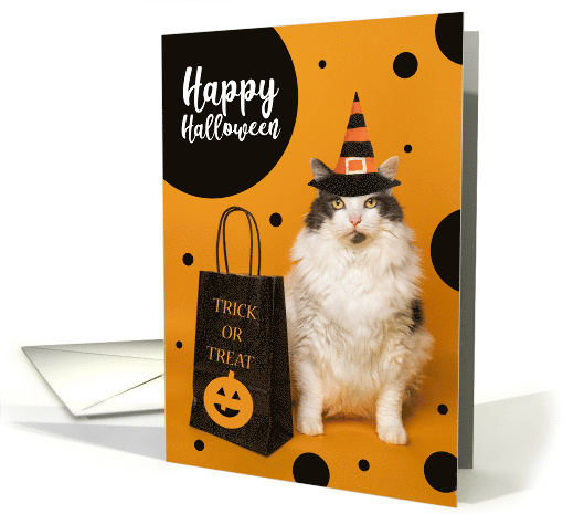 Happy Halloween For Anyone Cute Cat in Witch Hat Humor card (1744744)