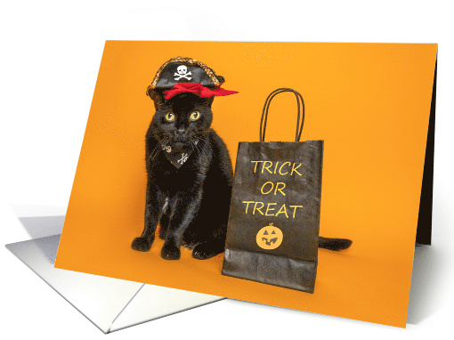 Happy Halloween For Anyone Funny Cat Dressed as Pirate Humor card