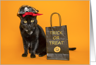 Happy Halloween For Anyone Funny Cat Dressed as Pirate Humor card