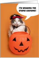 Happy Halloween For Anyone Funny Mad Cat in Costume Humor card