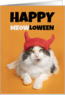 Happy Halloween For Anyone Funny Cat Devil Humor card