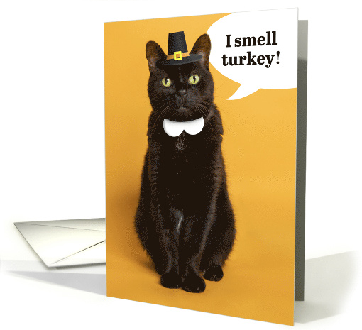 Happy Thanksgiving For Anyone Black Cat Dressed as Pilgrim Humor card