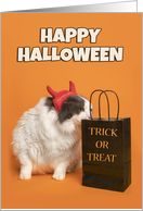 Happy Halloween For Anyone Cat in Costume With Treat Bag Humor card