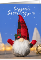 Seasons Greetings For Anyone Cute Winter Gnome Photograph card