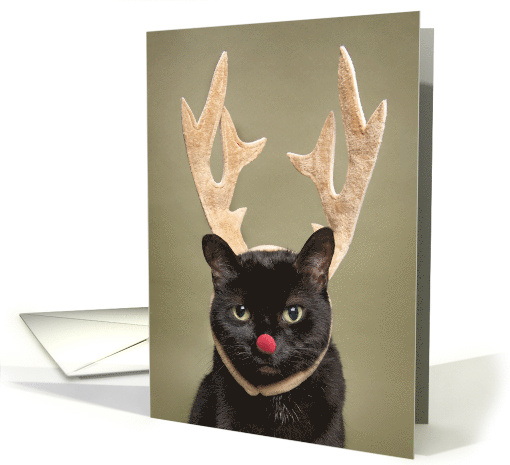 Merry Christmas For Anyone Funny Cat in Reindeer Antlers Humor card