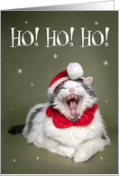 Merry Christmas For Anyone Funny Cat Saying Ho Ho Ho card