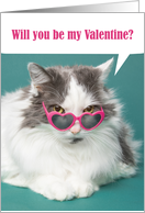 Happy Valentine’s Day Be Mine Cute Cat in Heart Glasses Humor card