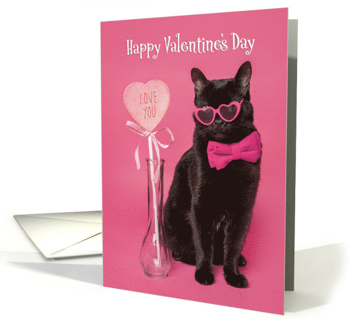 Happy Valentines Day For Anyone Cute Cat in Heart Glasses humor card