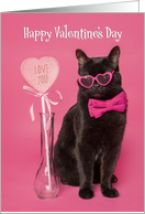 Happy Valentines Day For Anyone Cute Cat in Heart Glasses humor card