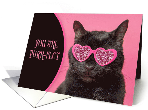 Happy Valentines Day For Anyone Cute Cat in Glitter Sunglasses card