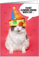 Happy Valentines Day For Anyone Funny Cat in Clown Hat Humor card