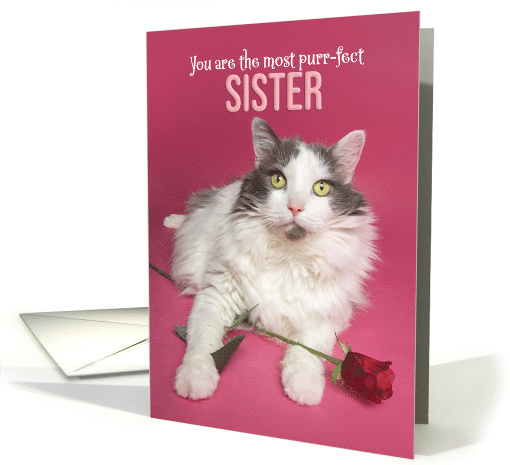 Happy Valentines Day Sister Cute Cat WIth Red Rose Photograph card