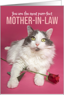 Happy Valentines Day Mother In Law Cute Cat WIth Red Rose Photograph card