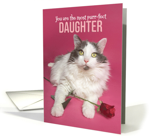 Happy Valentines Day Daughter Cat WIth Red Rose Photograph card