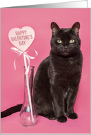 Happy Valentines Day For Anyone Cute Black Cat card