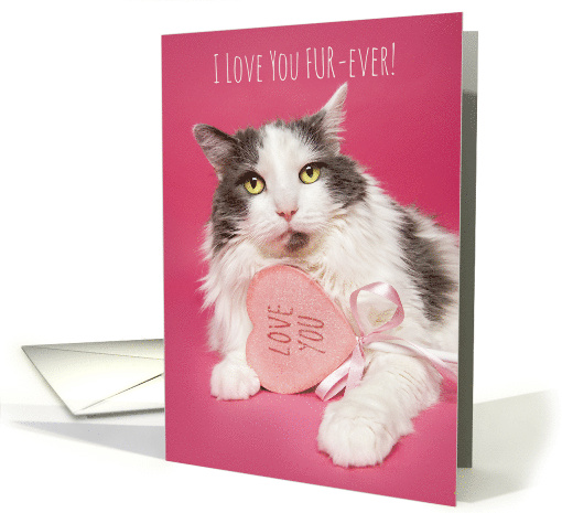 Happy Valentines Day I Love You FurEver Cat With Lollipop Humor card