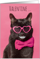 Happy Valentines Day For Anyone Funnty Cat With Big Smile Humor card