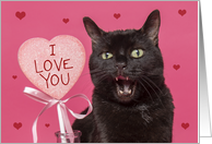 Happy Valentines Day I Love You Funny Talking Cat Humor card