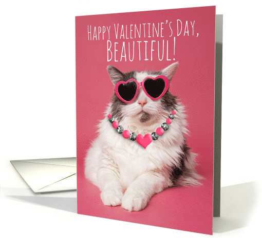 Happy Valentines Day For Any One Cute Cat in Sunglasses... (1755136)